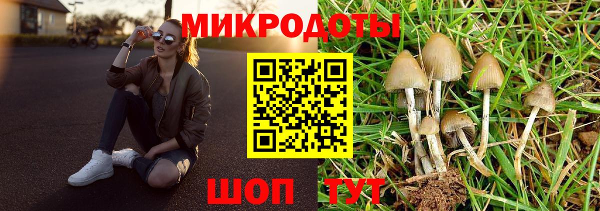 Галлюциногенные грибы GOLDEN TEACHER Губкин