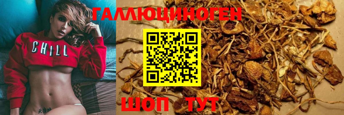 Галлюциногенные грибы GOLDEN TEACHER  Вход с VPN  Губкин 